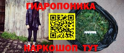наркотики Новозыбков