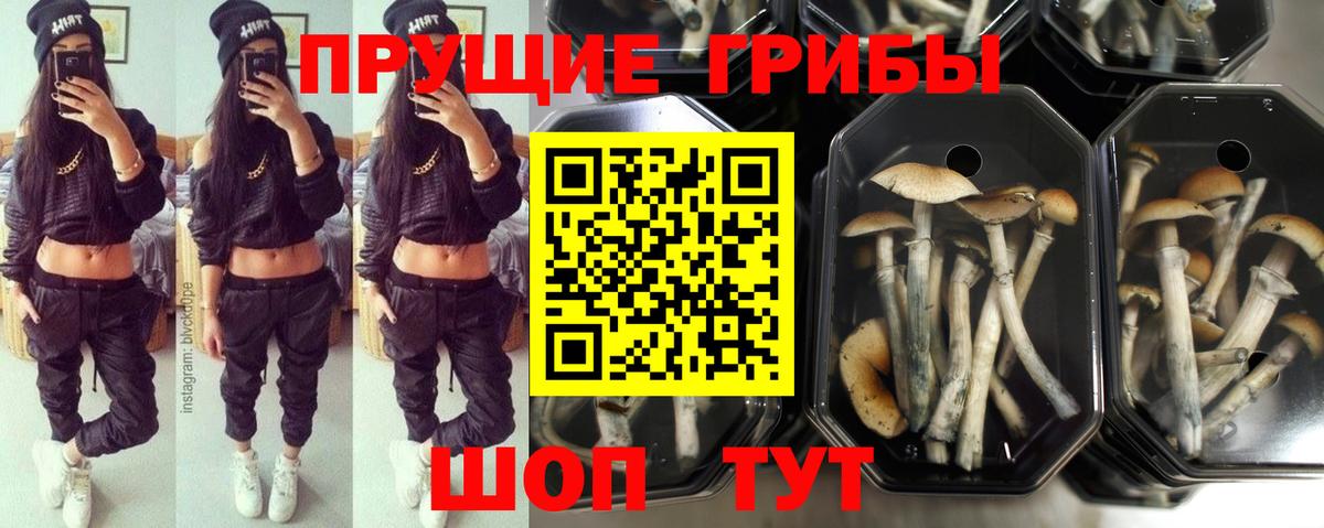 Скопин  Галлюциногенные грибы Magic Shrooms  Вход с VPN  Псилоцибиновые грибы ЛСД 